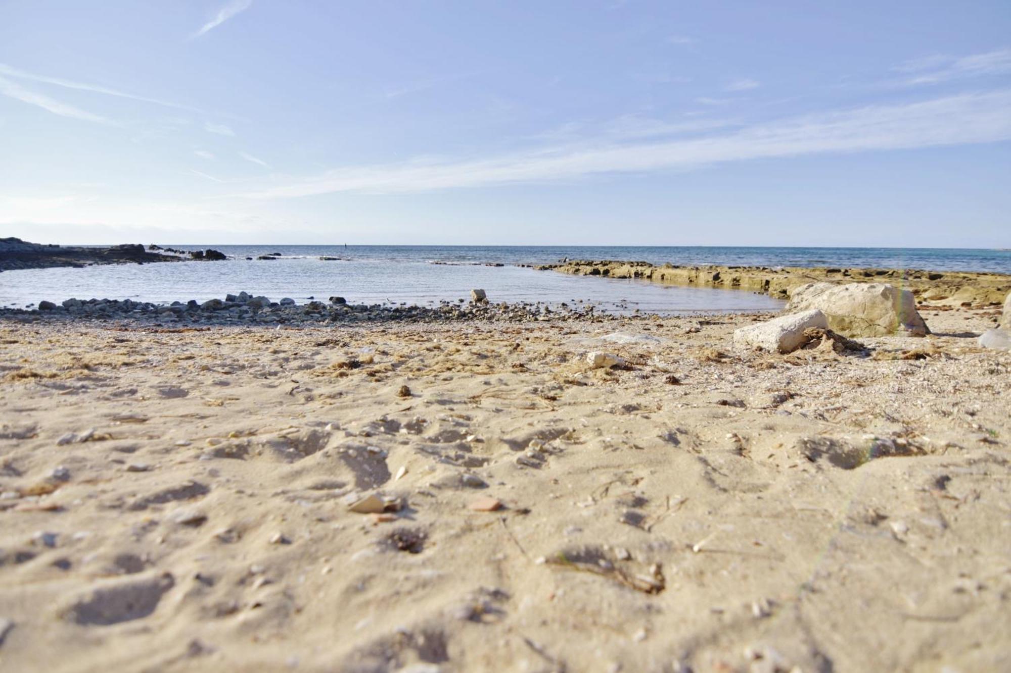Apartments For Families With Children Savudrija, Umag - 22559 Екстер'єр фото